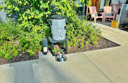 Zesty Orange Abode (438) - Foto 14