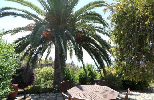 Casa Naranjo - Foto 14