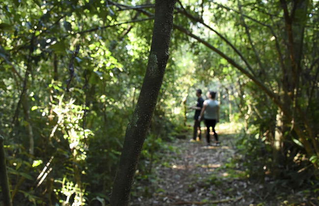 Passeio a cavalo pela selva de Iguazú - Foto 5