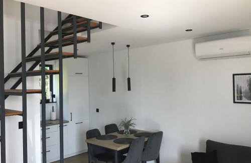 Szklane Domki Ińsko - Foto 21