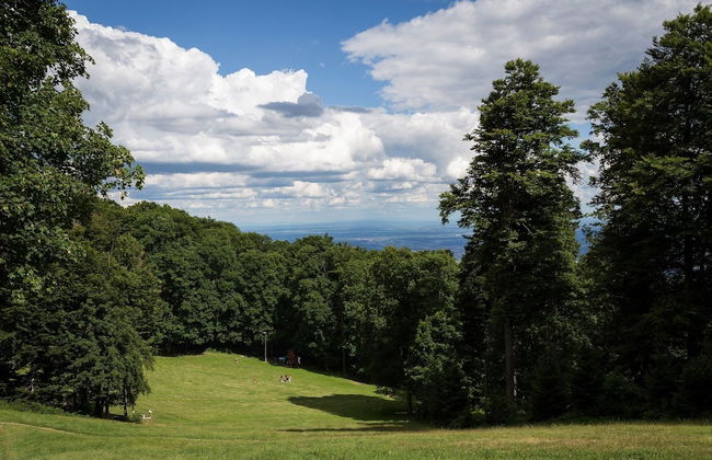 Aparthotel Snjezna Kraljica - Foto 27