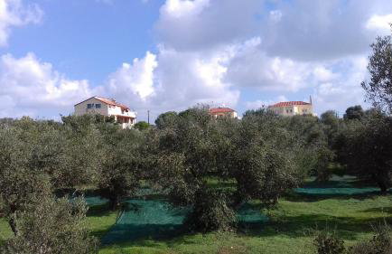 Manolo s olive farm, apartment with seaview - Foto 40