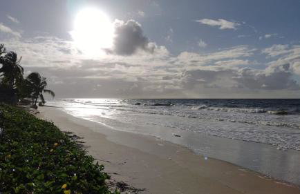Casa beira mar com piscina Coruripe Povoado Miai de cima - Foto 40