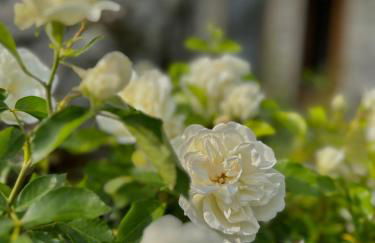 Holiday Home Sovenigo - Foto 80