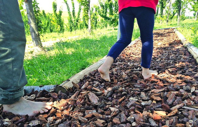 Holiday Resort Contea dei Ciliegi Pedaso - Foto 50