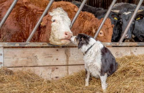 2 Bed in Shrewsbury oc-77771 - Foto 22