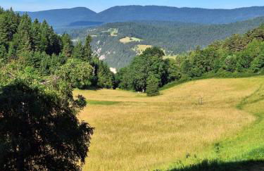 Studio cabine 4 pers Cosy esprit chalet Les glovettes - Foto 15