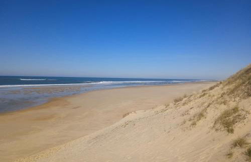 Maison landaise rénovée avec charme - Foto 24