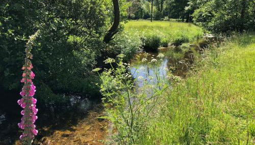 Luxury Exmoor Barn conversion with Sauna - Foto 5