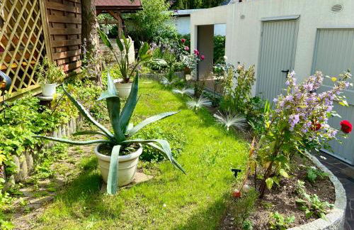 Regenbergblick - Foto 17