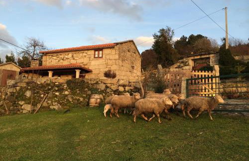 Refugio dos Cregos - Foto 18