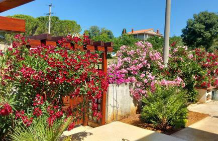 Antonio Solimar Apartments - Foto 21