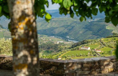 Casa do Vale - Retreat in the Douro Vineyards - Photo 36