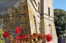 Loft Giuly - Foto 53