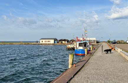 Frisch Saniert Ferienhaus Achterland - Strand, Sauna, Kamin, WLAN und ein großer Garten - Foto 29