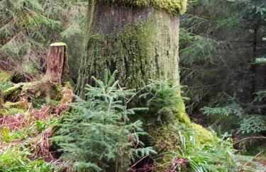 Ferienwohnung GABI - Foto 48