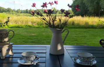 Mooroase Bauerngarten - Ovelgönne - Nordsee - Weser - Jade - Foto 35