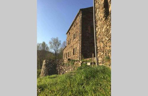 La Pellegrine, Parc national des Cévennes - Foto 6