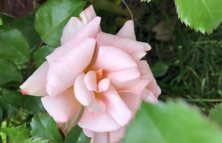 Agriturismo Giorgini - Foto 16