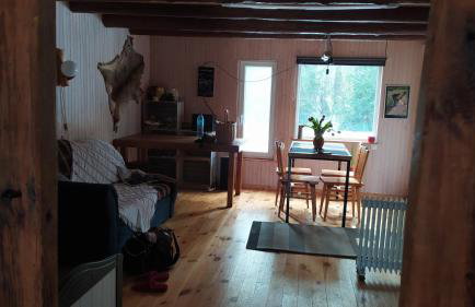 Podlaskie Żuczki - Foto 6