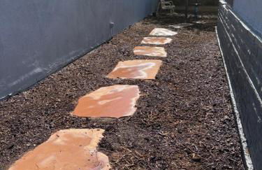 The Bird House - Foto 17