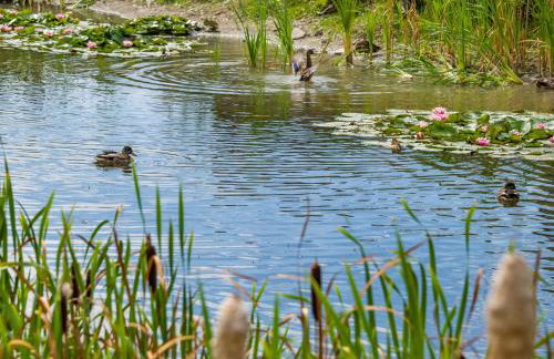 Number 8 Lakes View - Foto 32