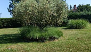 Apartment Greta - Foto 3