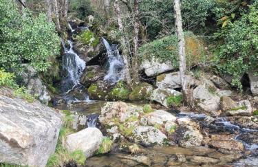 Quarto da eira - Photo 3