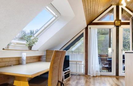 Ferienwohnungen Seeblick - Foto 45