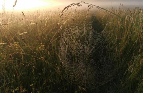 Stara Stolarnia - Foto 30