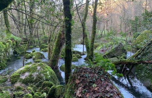 Villa Bessa Nature & Spa - Foto 11