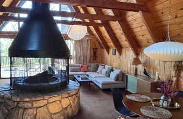A-Frame with Carousel Fireplace - Foto 7