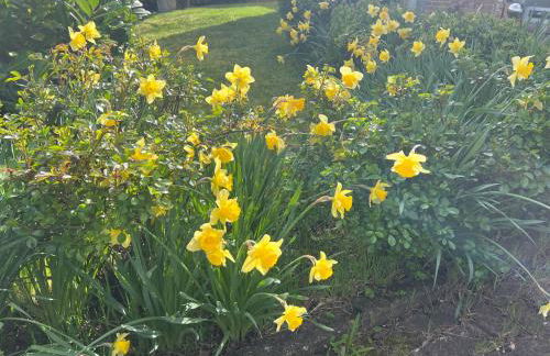 NEW Spacious House with large garden - Foto 56