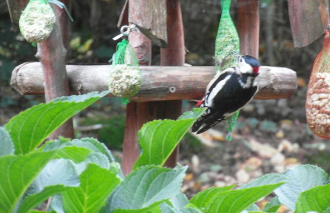 Holiday Home Buitenplaats Berg With 5 Rooms - Foto 20