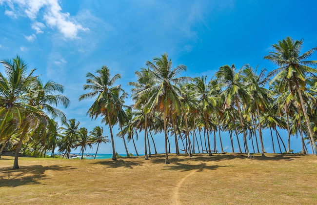 Ocean Cottage Kalametiya - Photo 23