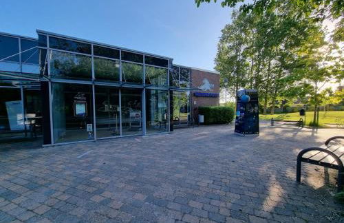 Ferienhaus Hilgenhuus - Foto 23