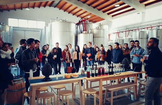 Visita alla cantina Quattrocieli - Foto 8