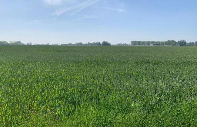 Apartment in Koksijde for 5 Persons - Photo 30