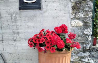 la casa nel bosco - Foto 36