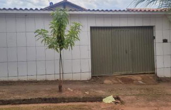 Toca dos Gatos - Foto 1