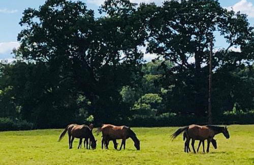 Bugley Cottage - Foto 31