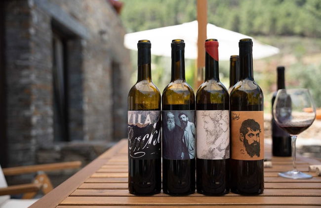 Quinta Vila Rachel - Photo 33