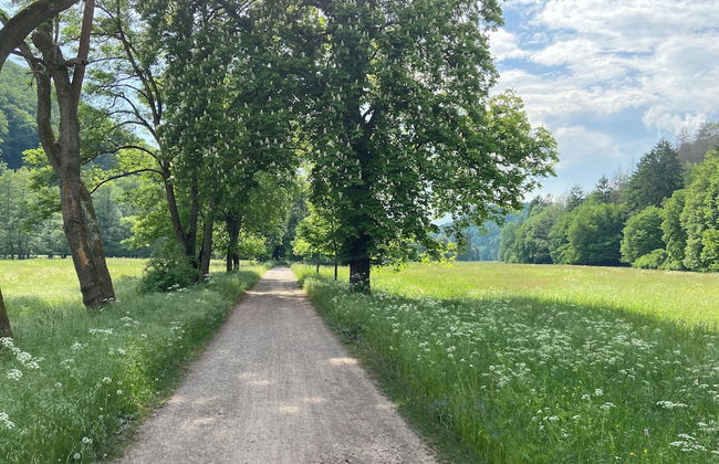 Living in the old Granary - Foto 34