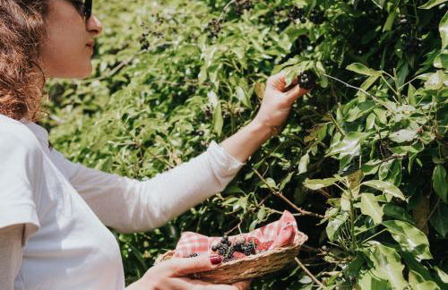 Borgo Rapale - Foto 40