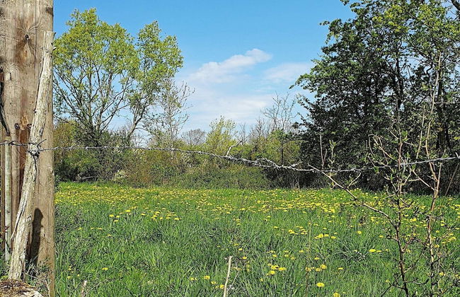 6 Person Holiday Home in Kopingsvik - Foto 35