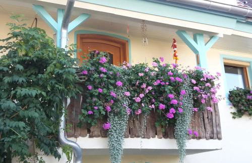 Rosenhof Broggingen - Foto 38