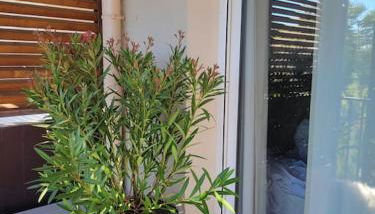 appartement pont du Gard, Remoulins - Foto 3