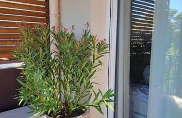 appartement pont du Gard, Remoulins - Foto 3