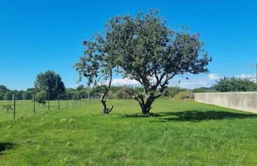 Maison Plouhinec Finistère 29 avec vue Mer et grand Jardin - Photo 32