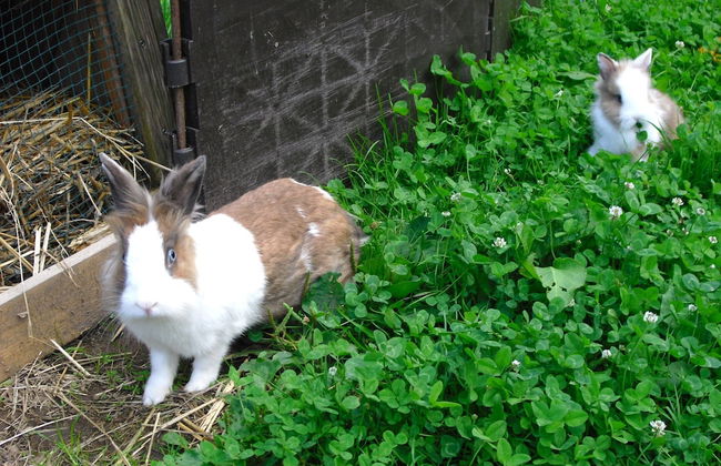 Comfortable Holiday Home in a Beautiful Location - Photo 27